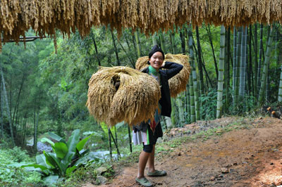 ɭ�օ��е��ɳ��կ���M�D��