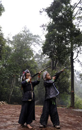 ɭ�օ��е��ɳ��կ���M�D��