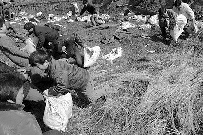 �d5���ڻ�ˎ؛܇�ھ�����ٺ���Т�жα�ը