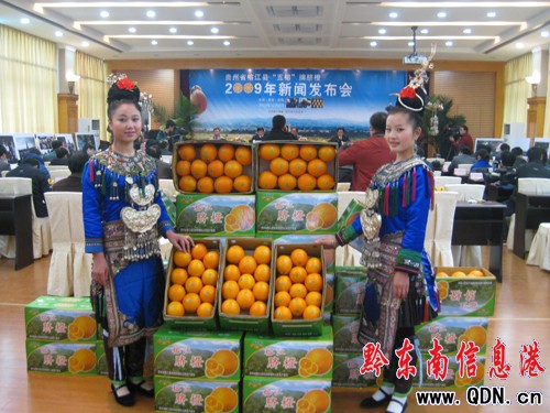 �rˬ�ɿ��ܷQٝ �Ž�Ě������ˬˬ���F�