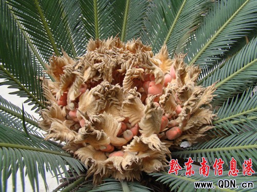 ��hһ�F���_���ֽY��  �����L���_�����ʮ��