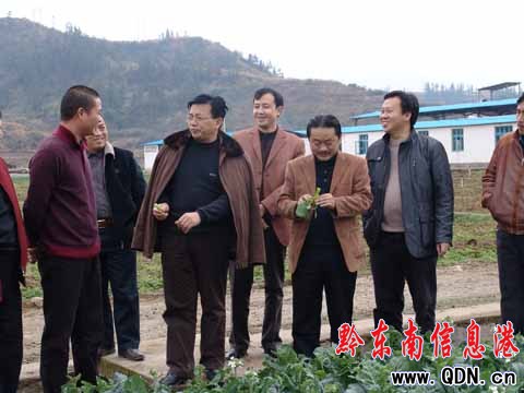 楊勝勇到榕江調研農業產業化工作(圖)