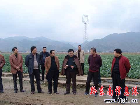 楊勝勇到榕江調研農業產業化工作(圖)