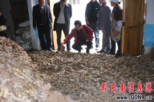 ɽ�|��׌�Sƽ�r����L�����^�����D��