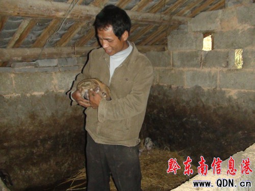 �����r(n��ng)����B(y��ng)Ұ�i���̙C���D��