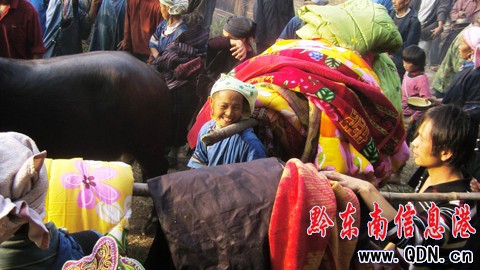 黎平花衣苗族歡度牯藏節(組圖)