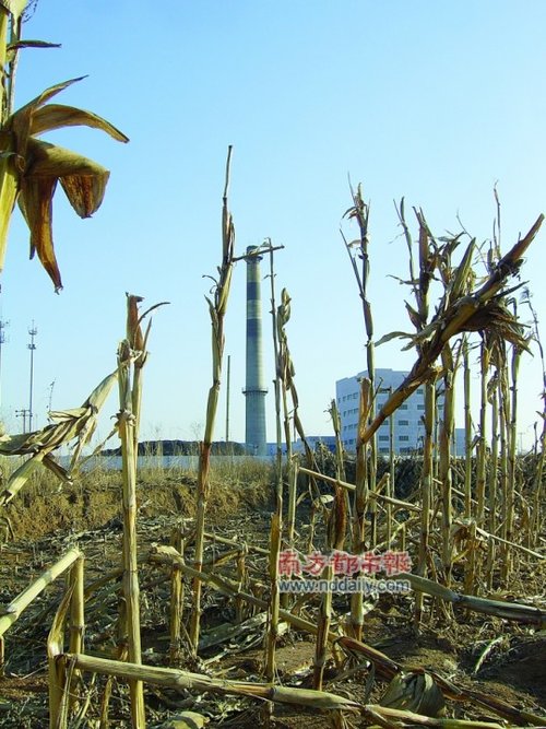 1����6�f�I�M130�f�u������ɽ��W�����ء��L��