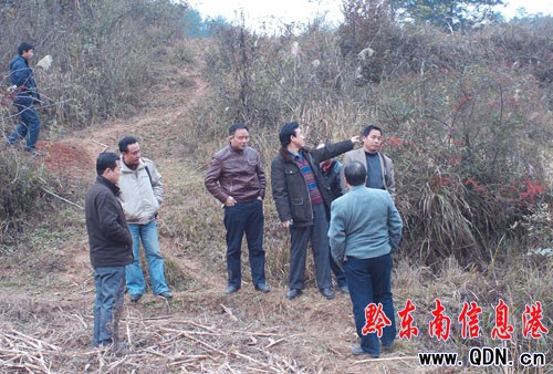 ǭ�|������r�񌣘I�������������Sƽ�ӹ�