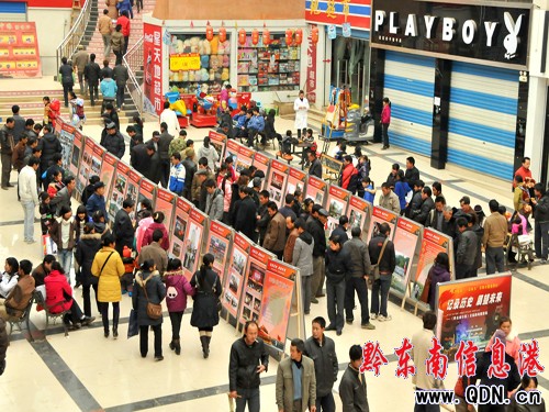 ǭ�|���Ո����zӰ��ƽչ ���fȺ����۸�֮��