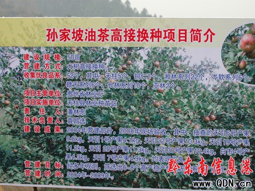 ȫʡ�Ͳ�a�I�lչ�F�������������_���M�D��