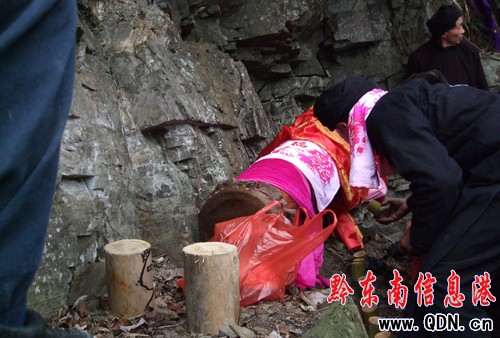 ��ɽ��������Ĳع����ʈD�����M�D��