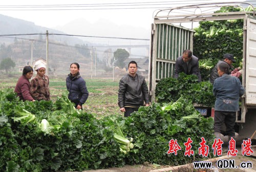 �(zh��n)�h(yu��n)�o�����߲��h(yu��n)�Nʡ��(n��i)�⣨�D��