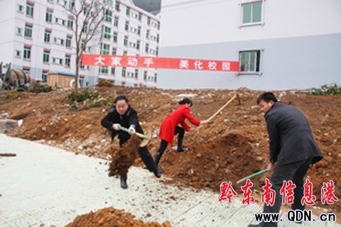 凱里學院師生義務植樹迎新年(圖)