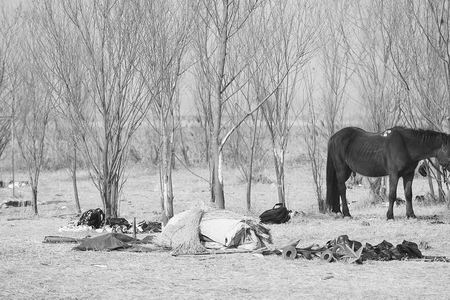 �̷��ˆT�Q�¡�ˮ�G�����M�Ɖ��S�ӝ��(�M�D)