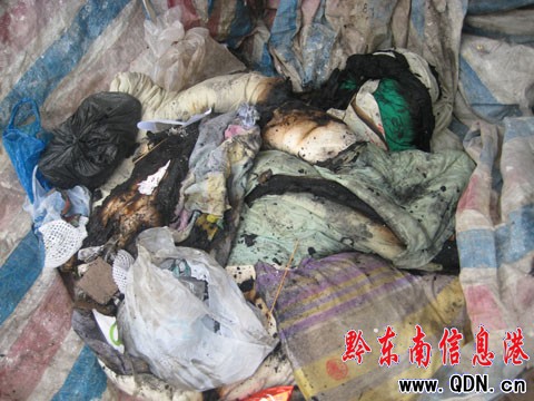 ��ҹ��늠t������� С�^�������ڷ������D��