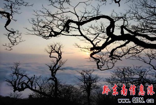 雷公山出現(xiàn)晚霞云海美景(圖)