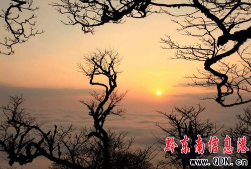 雷公山出現(xiàn)晚霞云海美景(圖)