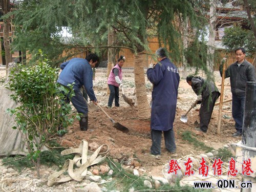 �������^�G��ӭ�������D��