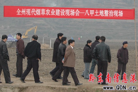 全州烤煙生產工作現場會在天柱召開(組圖)