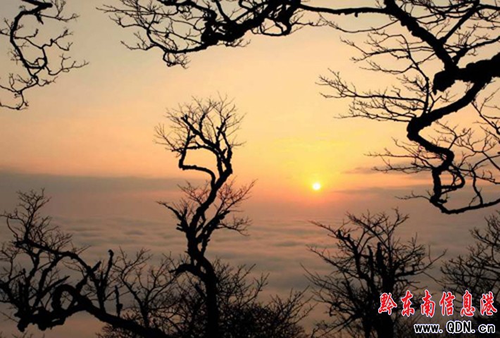 �׹�ɽ���F(xi��n)��ϼ�ƺ�����