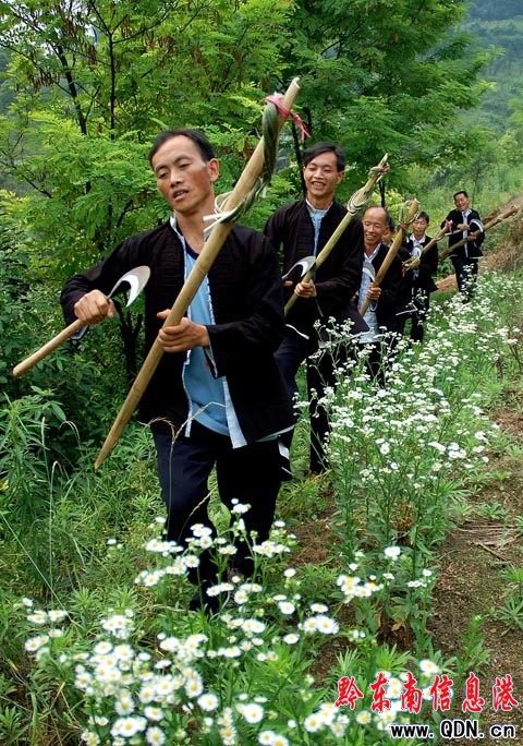 ��ɽ������������5�|Ԫ���D��