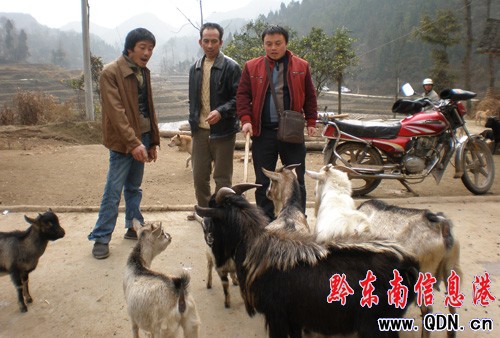 �ഺ���I�����ʡ�����W�������ӛ(�M�D)