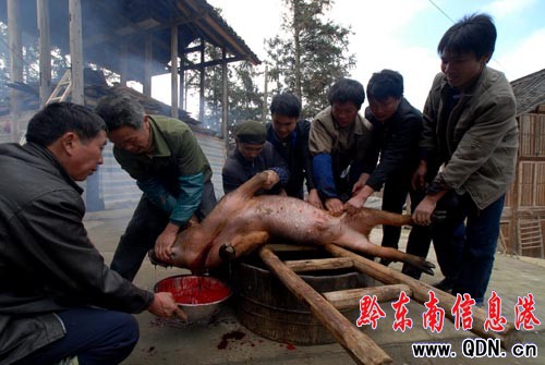 ��կ������ӭ�����Ě�Ϣ���M�D��