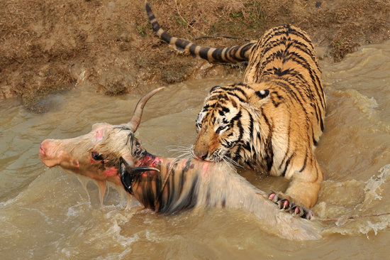 ����@��ţ�`���ͫF�^���ϻ�ҧ��(�M�D)