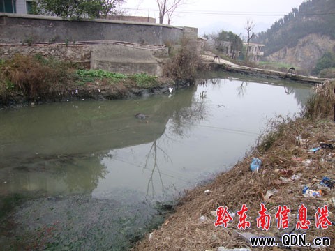 凱里一排污小河漂浮男尸 身份不明待偵破(圖)