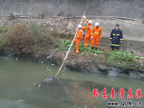 凱里一排污小河漂浮男尸 身份不明待偵破(圖)