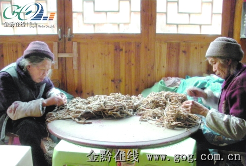 傳統(tǒng)技藝帶活一方經(jīng)濟(jì) 古法造紙年銷售500萬元