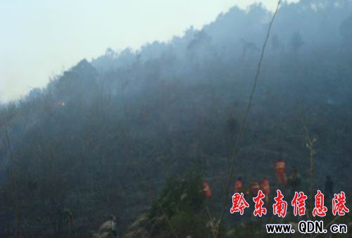 ���Ӱl(f��)��ɭ�ֻ��(z��i) ܊�����5С�r(sh��)������(�D)