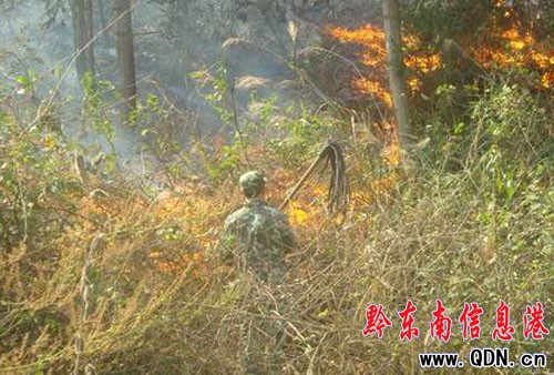 ���Ӱl(f��)��ɭ�ֻ��(z��i) ܊�����5С�r(sh��)������(�D)