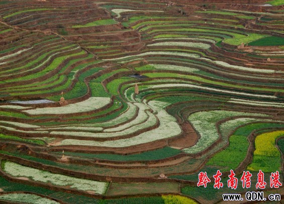 ꖹ����� ��կ̎̎��ɫ�����D��