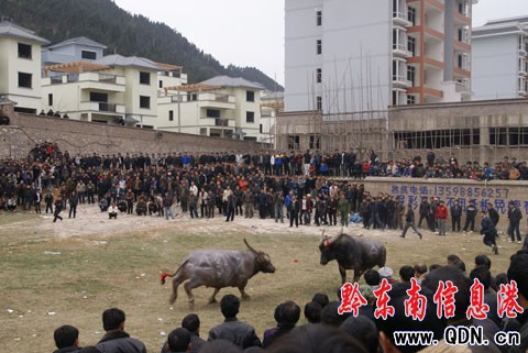 �P���������g������_��Ļ ���l�n��ʢ�b�ǈ�