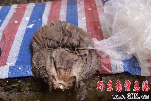 3��ţ��עˮ7�� �P��ţ���Ј���ˮ���أ��D��