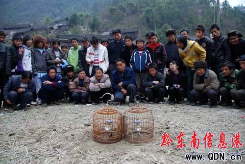 ���l(xi��ng)�´����B�����M�D��