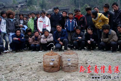 ���l(xi��ng)�´����B�����M�D��