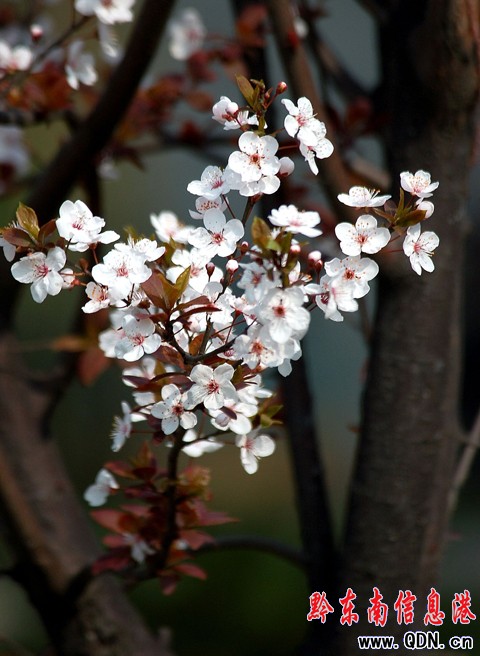 �P����^�滨�_ ���������������p���D��