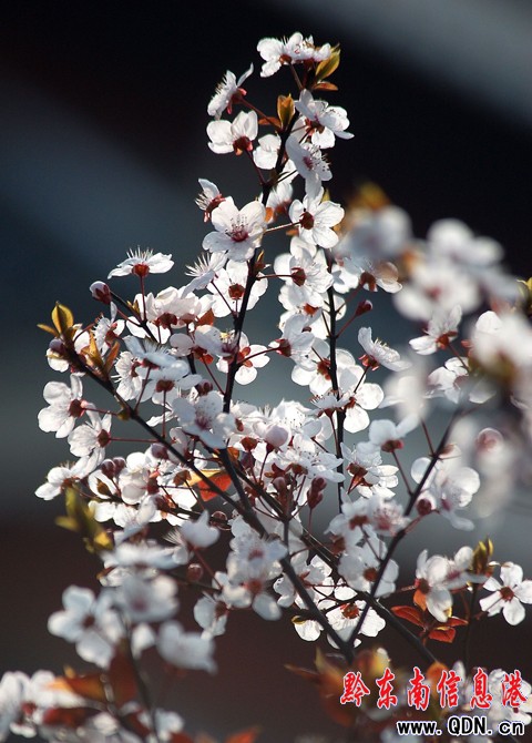 �P����^�滨�_ ���������������p���D��