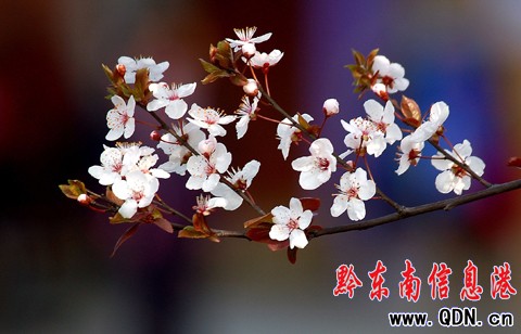 �P����^�滨�_ ���������������p���D��