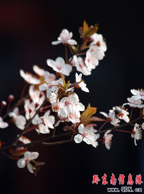 �P����^�滨�_ ���������������p���D��