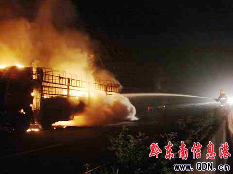 �賿���ٹ�·��؛܇ͻ�l��𱻟������D��