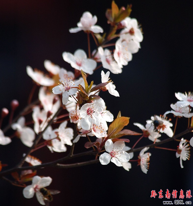 �P����^�滨�_