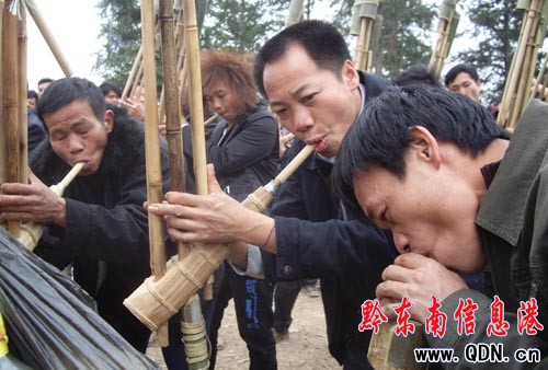 黎平苗寨歡度蘆笙節(組圖)