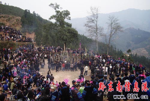 黎平苗寨歡度蘆笙節(組圖)