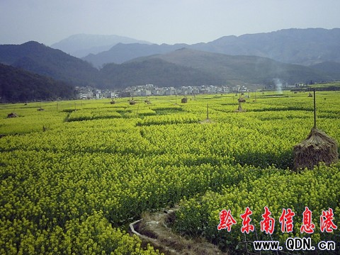 ��ƽƤ���f������Ͳ˻���Ź�ʣ��D��