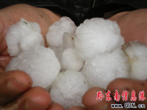 鎮遠6鄉鎮遭受冰雹災害(組圖)