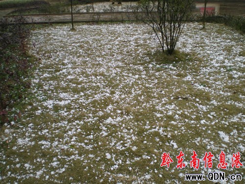 鎮遠6鄉鎮遭受冰雹災害(組圖)