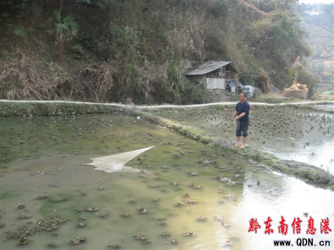 ����W(w��ng)�~(y��) �ի@��ࣨ�D��